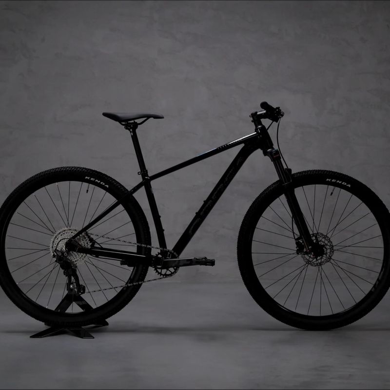 Rower górski Orbea Onna 20 29 2022 black/silver 13