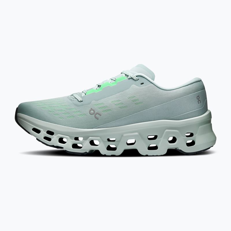 Buty do biegania męskie On Cloudmonster 3 brook/flurry 2