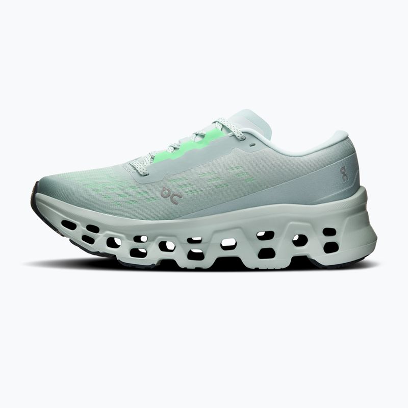 Buty do biegania damskie On Cloudmonster 3 brook/flurry 2