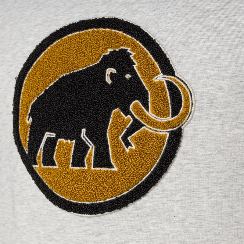 Bluza trekkingowa męska Mammut ML Hoody Circle highway mélange 6