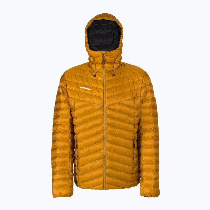 Kurtka męska Mammut Albula IN Hooded cheetah