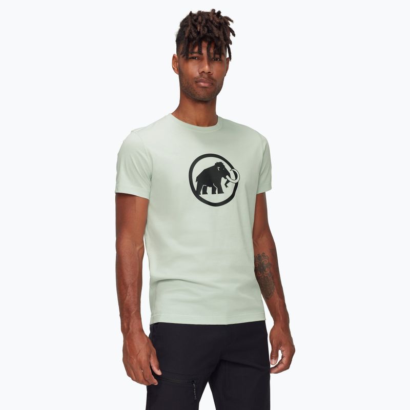 Koszulka męska Mammut Core Classic silver sage
