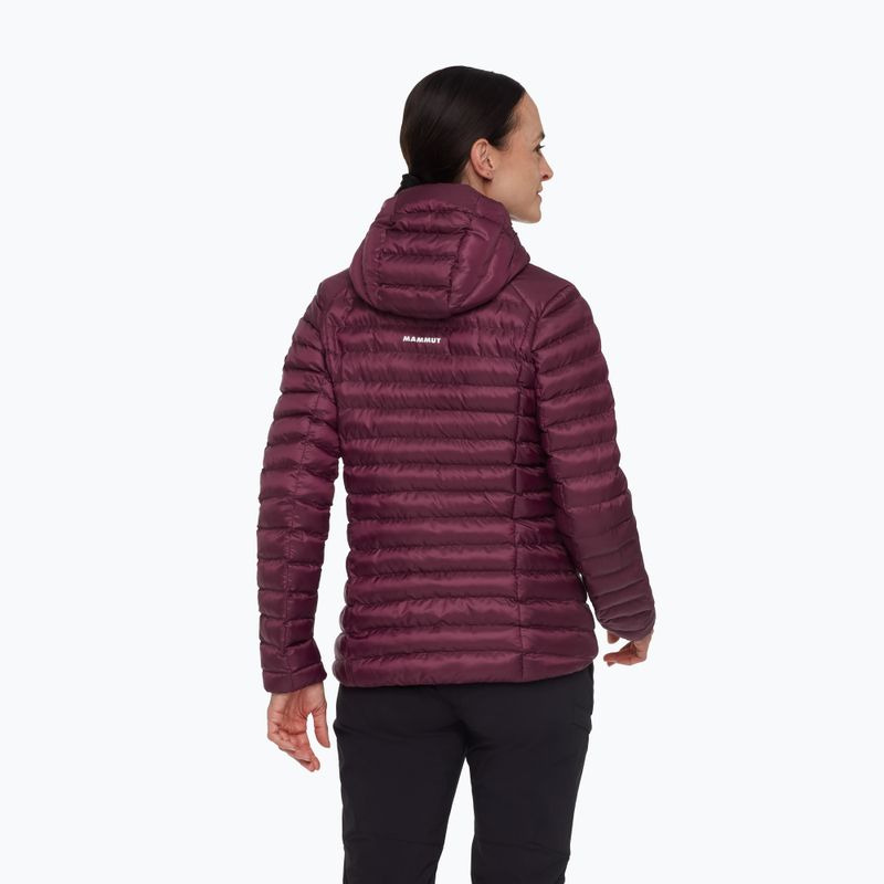 Kurtka ocieplana damska Mammut Albula IN Hooded vin/black 2