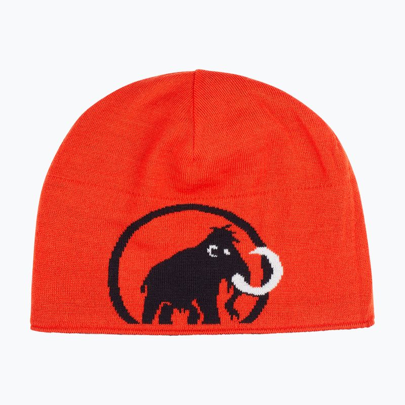 Czapka zimowa Mammut Logo black 2