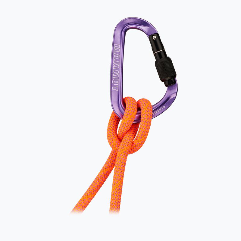 Karabinek Mammut Classic HMS Screwgate screw gate/alpine calamint 2