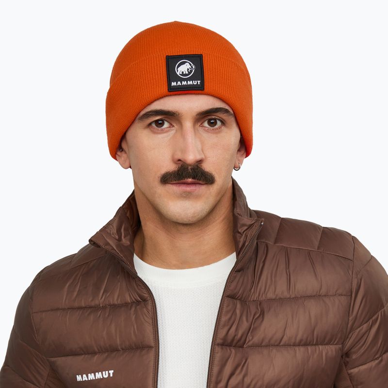 Czapka zimowa Mammut Fedoz Beanie autumn larice 3