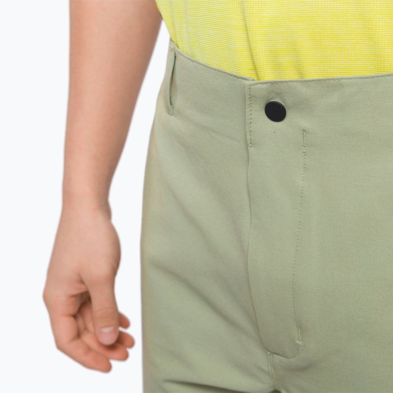 Spodenki wspinaczkowe męskie The North Face Project tea green 7
