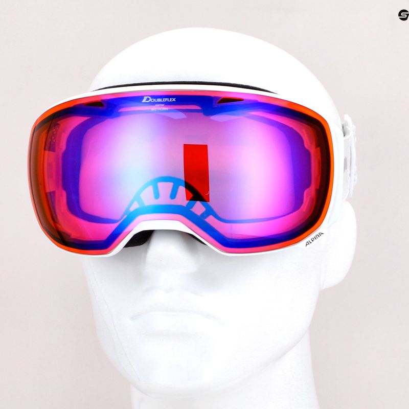 Gogle narciarskie Alpina Big Horn HM white/hm blue sph 5