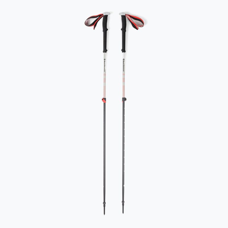 Kije skiturowe Black Diamond Expedition 2