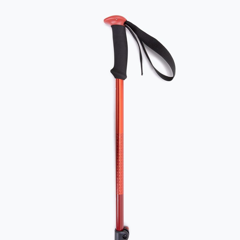 Kije trekkingowe Black Diamond Trail Sport Trek octane 3