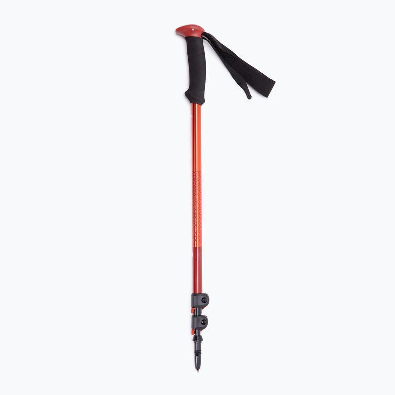 Kije trekkingowe Black Diamond Trail Sport Trek octane 6