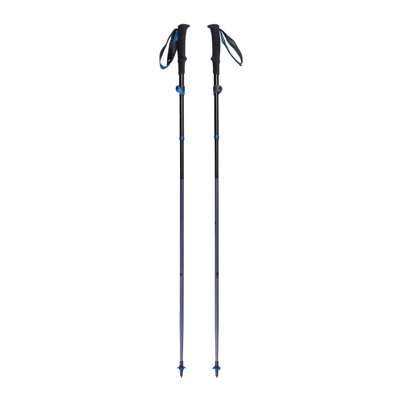 Kije trekkingowe Black Diamond Distance FLZ pewter