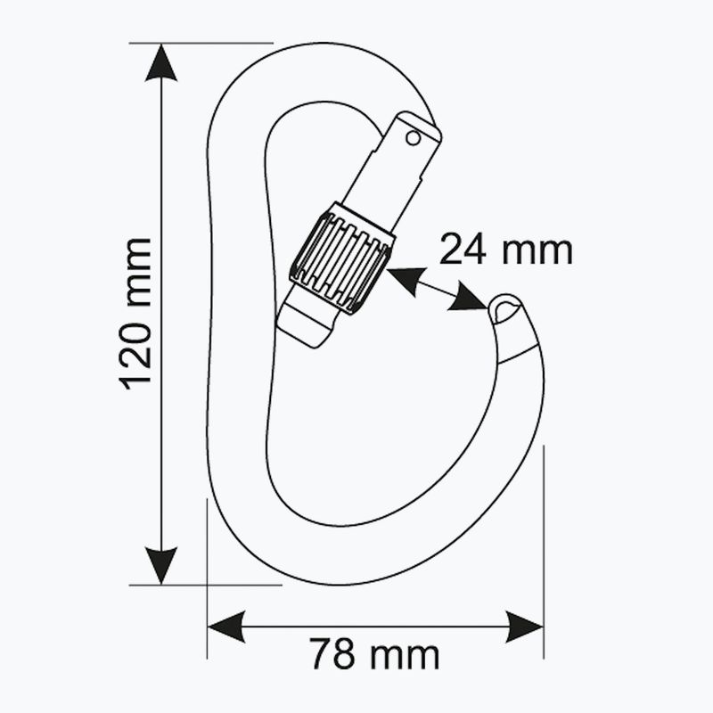Karabinek wspinaczkowy  CAMP Atom Lock gun metal 3