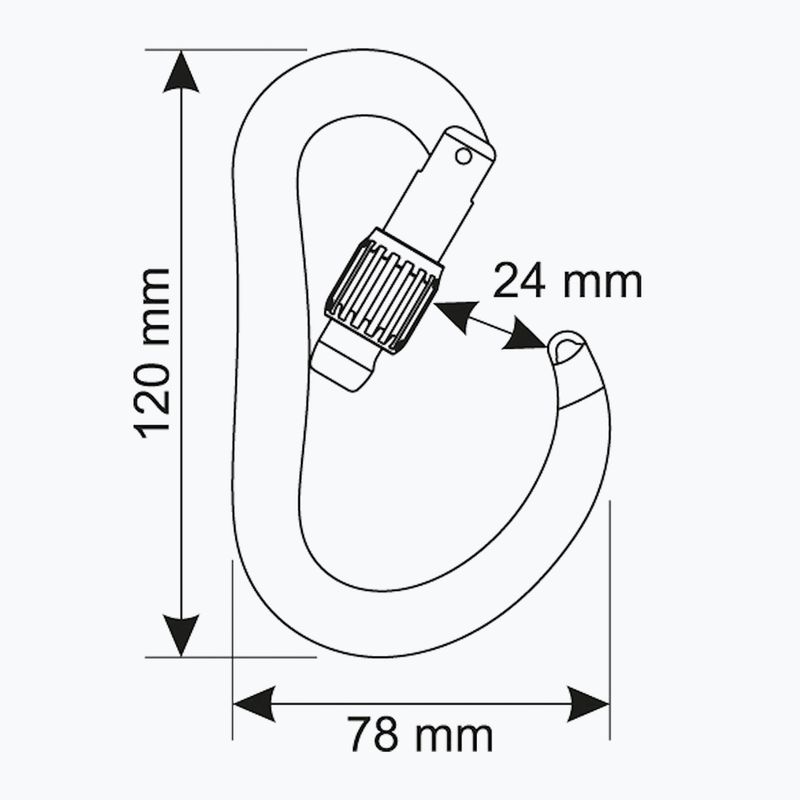 Karabinek wspinaczkowy CAMP Atom Lock black 3