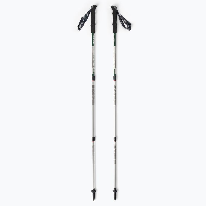 Kije trekkingowe Masters Summit Light green