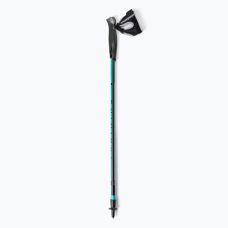 Kije nordic walking Masters Nordic Walking Pole Training 6