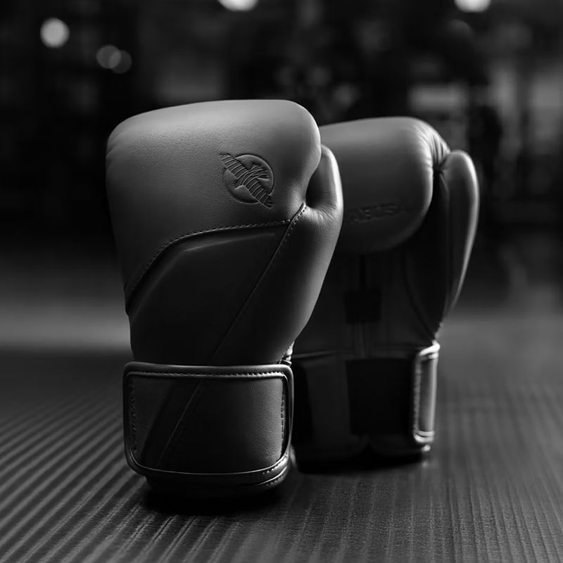Rękawice bokserskie Hayabusa E1 Leather black 2