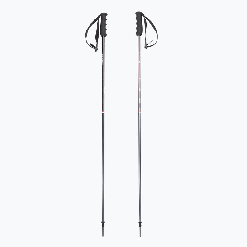 Kije narciarskie Nordica Alpine TI 16 MM grey/red