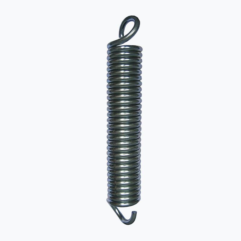 Sprężyna LEONE 1947 Iron Spring iron