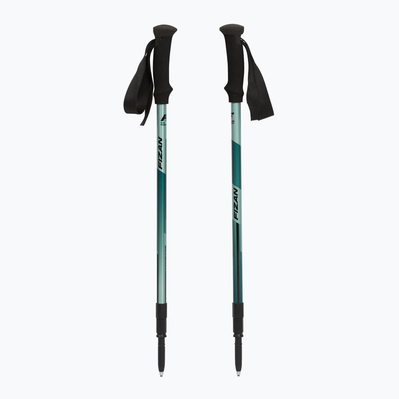 Kije trekkingowe Fizan Trek Pro dark green 5