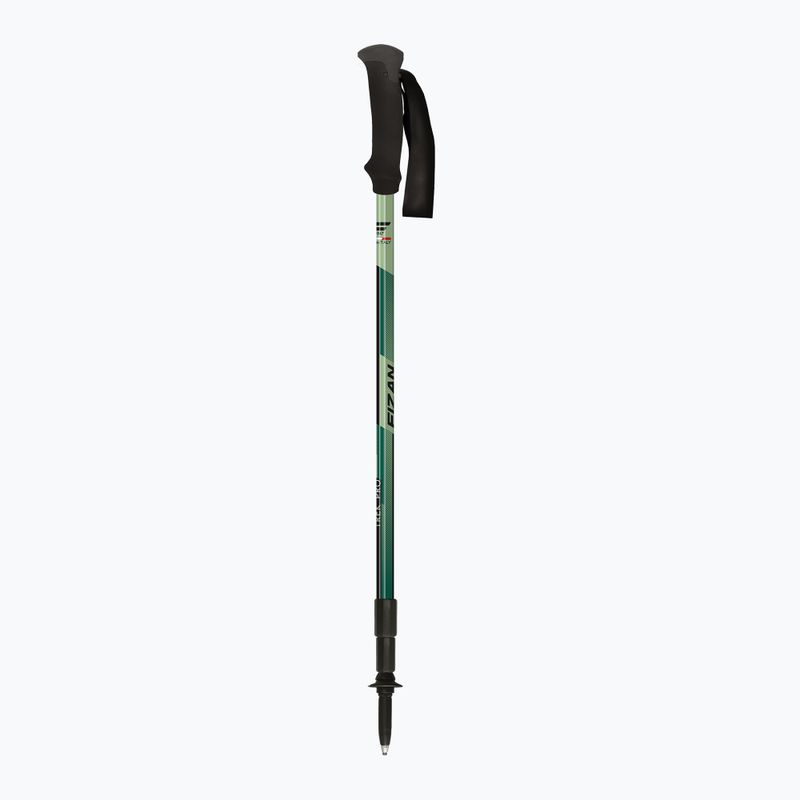 Kije trekkingowe Fizan Trek Pro dark green 2