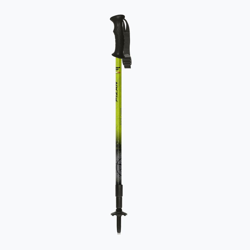 Kije trekkingowe Fizan Explorer lime/grey 2