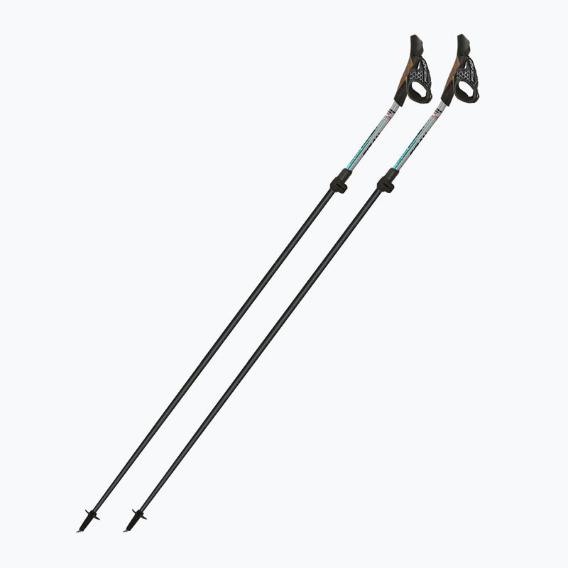 Kije nordic walking Fizan Tekno Impulse grey