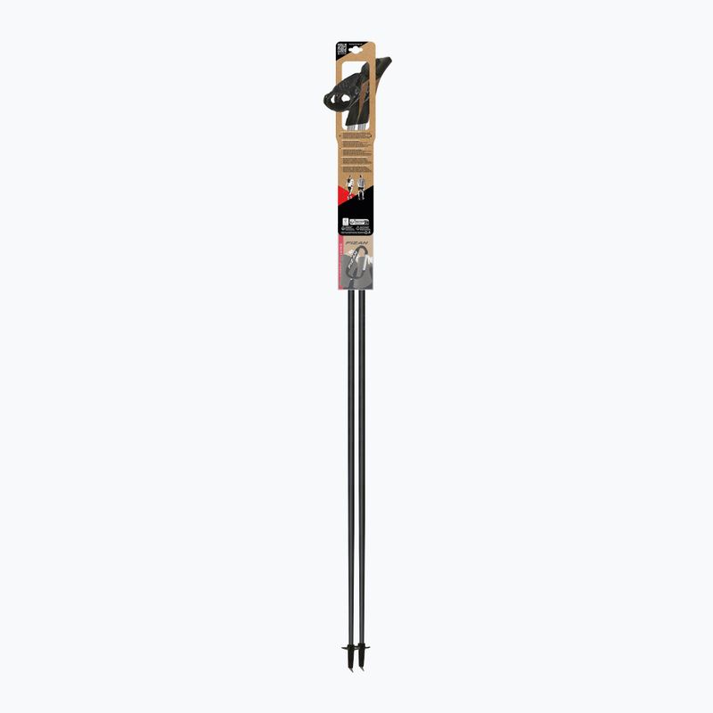 Kije nordic walking Fizan Tekno Impulse grey 4