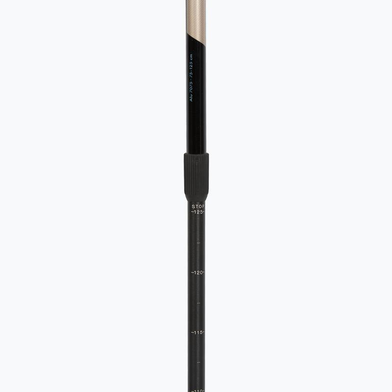 Kije nordic walking Fizan Speed beige 4
