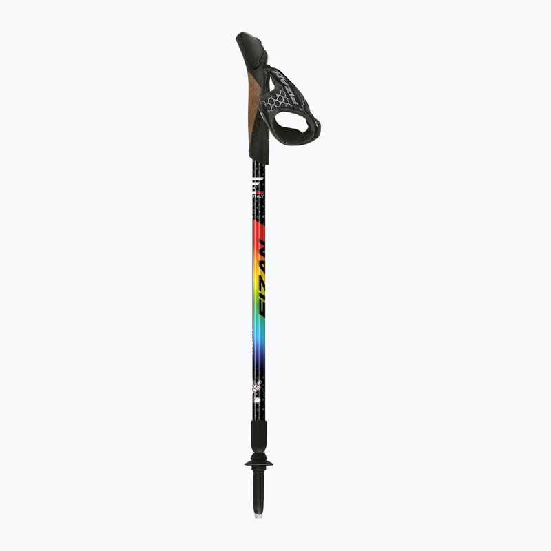 Kije nordic walking Fizan Speed Junior rainbow 2