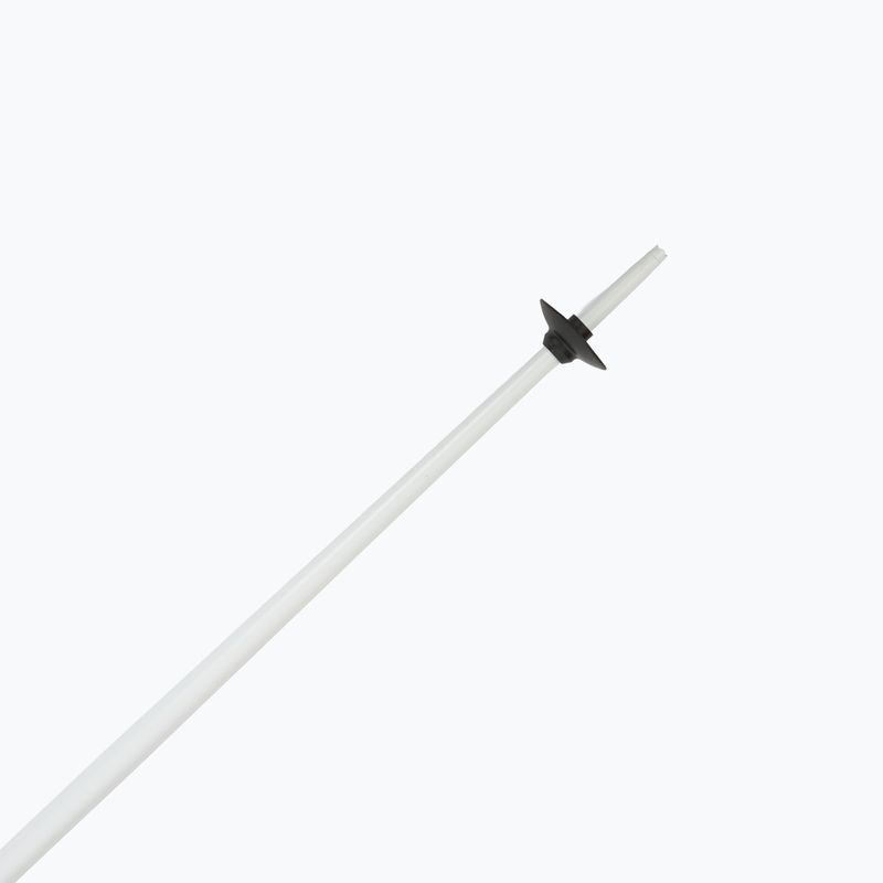 Kije narciarskie Fizan Action white 5