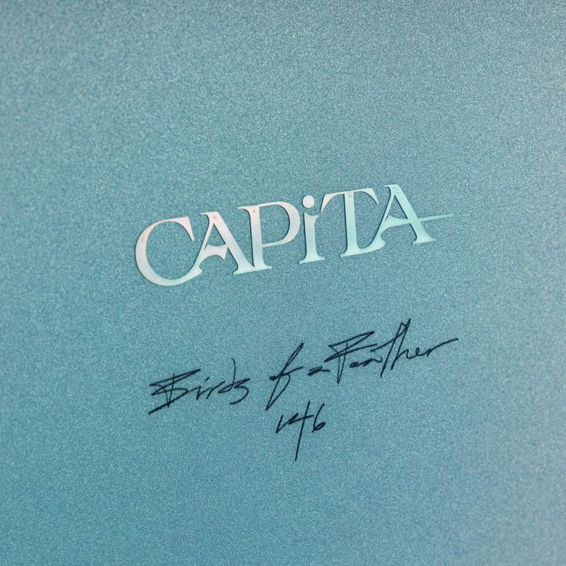 Deska snowboardowa damska CAPiTA Birds Of A Feather 5