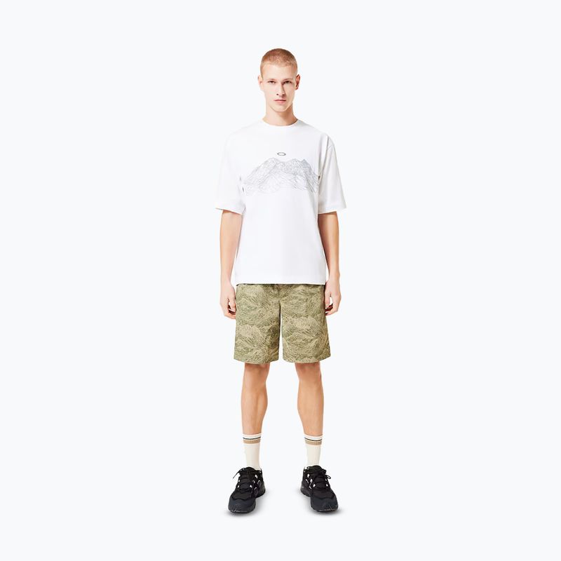 Koszulka męska Oakley Wired Mtn Scape Tee white