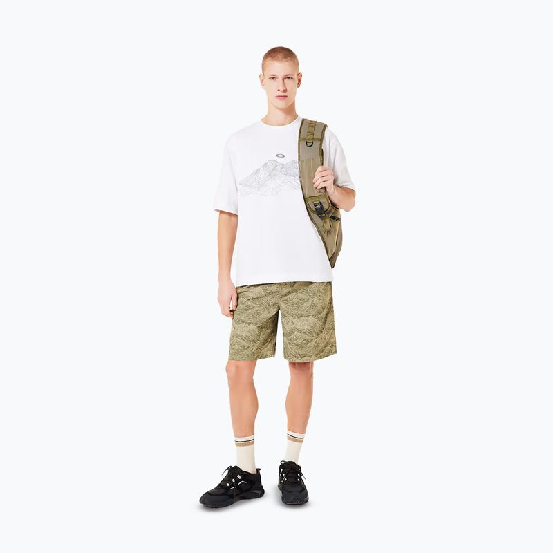 Koszulka męska Oakley Wired Mtn Scape Tee white 2