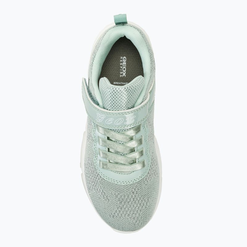 Buty juniorskie Geox Aril light sage 5