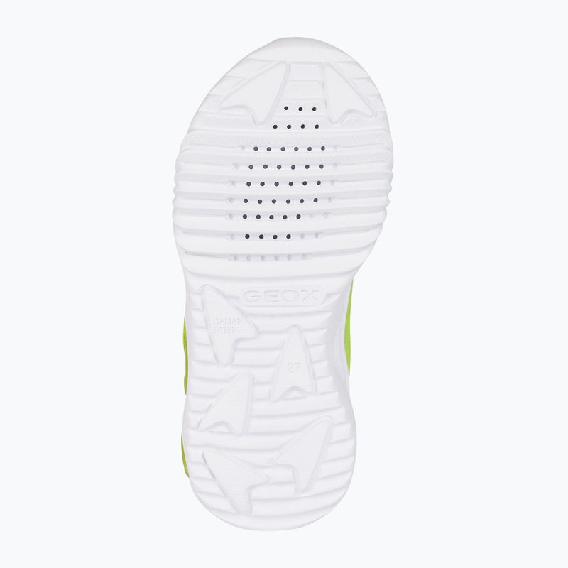 Buty juniorskie Geox Assister lime/black 6