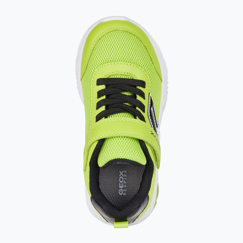 Buty juniorskie Geox Assister lime/black 7
