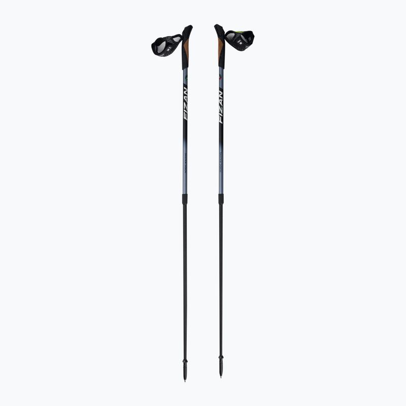 Kije nordic walking Fizan Speed black