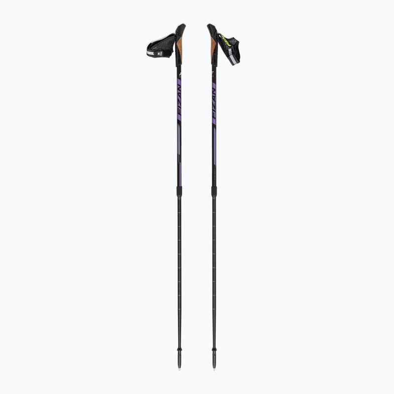 Kije nordic walking Fizan Speed vilet