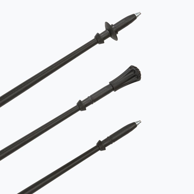 Kije nordic walking Fizan Walx Pro 6