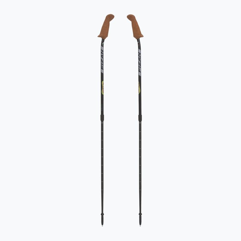 Kije nordic walking Fizan Walx Velocity