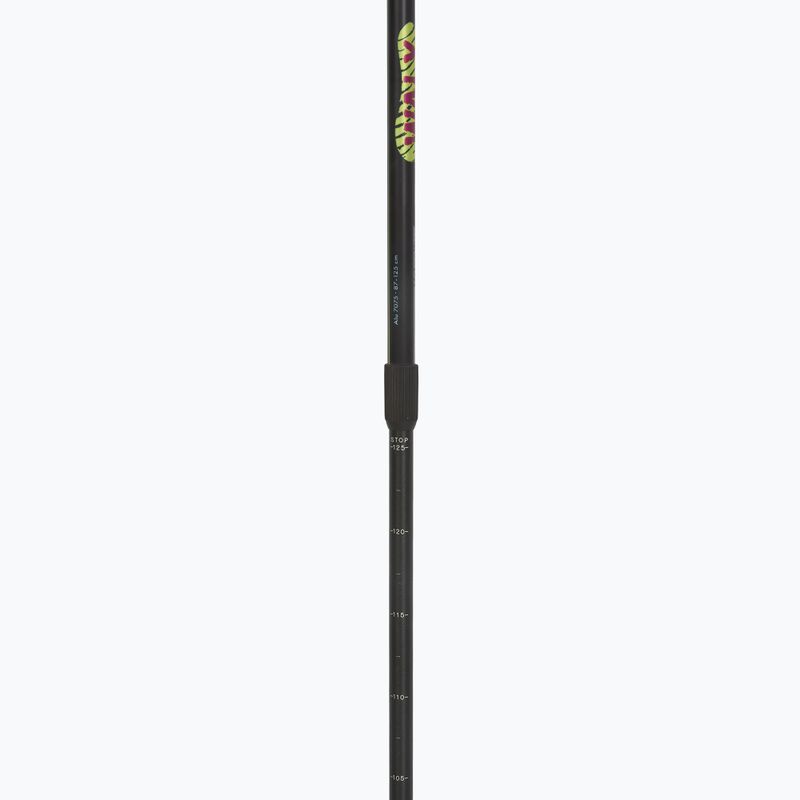 Kije nordic walking Fizan Walx Velocity 4