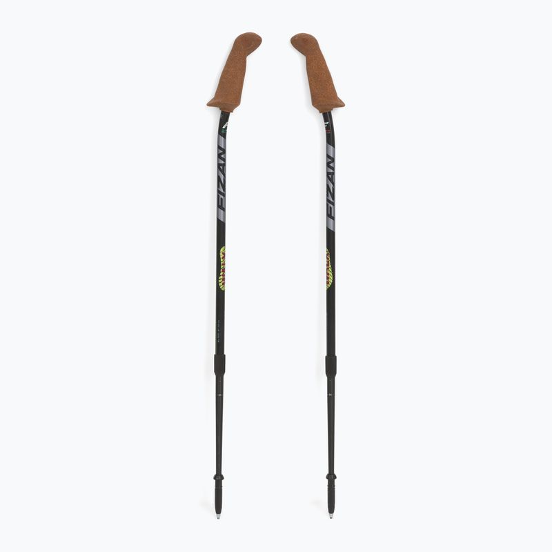 Kije nordic walking Fizan Walx Velocity 5