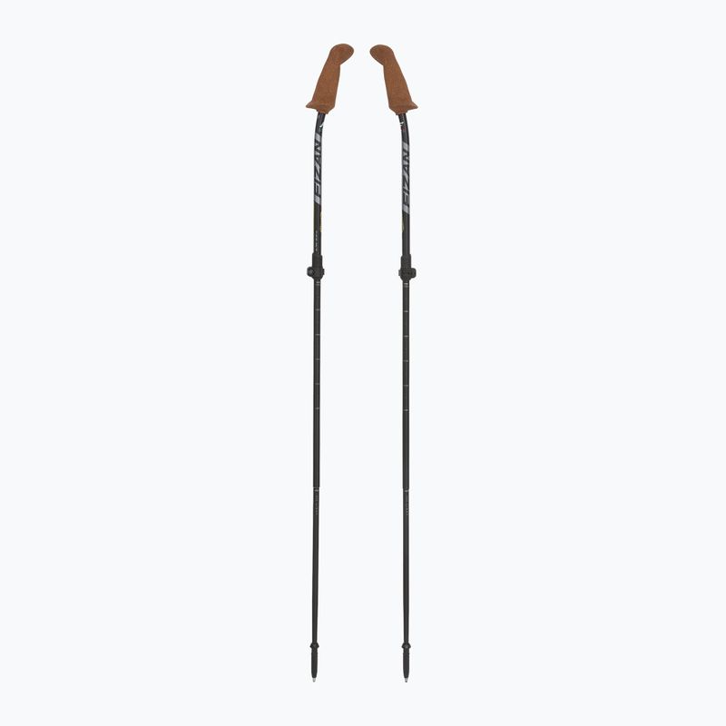 Kije nordic walking Fizan Walx Xplorer grey