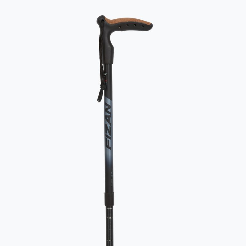 Kij nordic walking Fizan Classic Micro grey 2