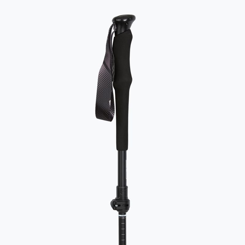 Kije trekkingowe Fizan RFP Touring black 2