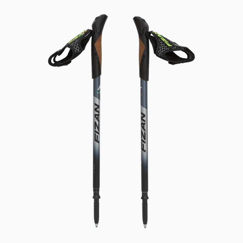 Kije nordic walking Fizan Lite 4 grey 5