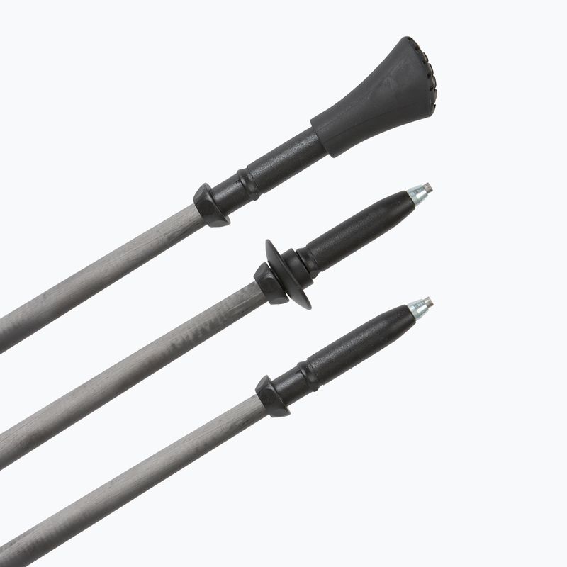 Kije nordic walking Fizan Runner blue 5