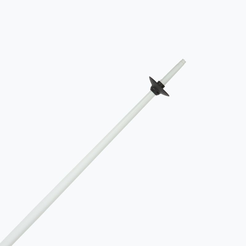 Kije narciarskie Fizan Action MS animal gry 5