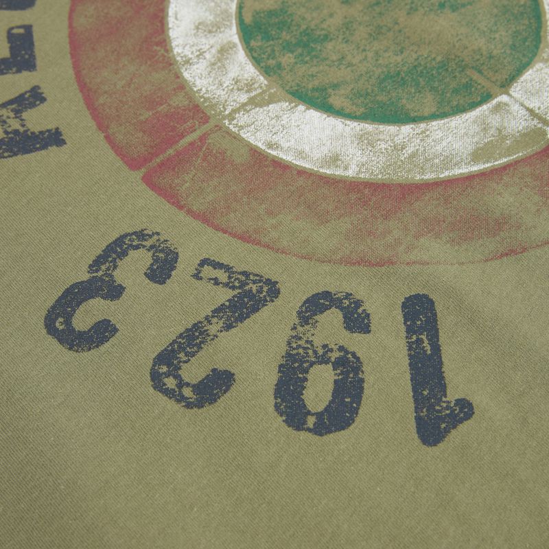 Koszulka męska Aeronautica Militare TS2538UJ00727 lichen green 3